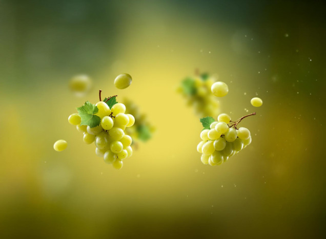 Bio beli vinski kis