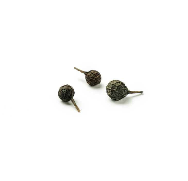 Cubeb poper - v zrnju